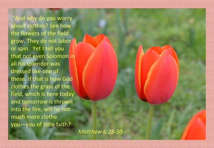 This is a reminder to me to be aware of what I post as I may be called to live it out!