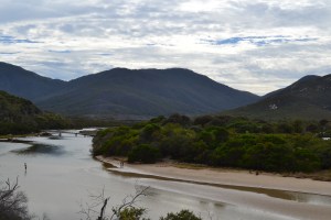 Tidal River