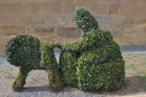 Penny Farthing Rider - Evandale Tasmania