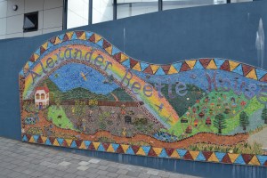 Alexander Beetle mural in Burnie Tasmania