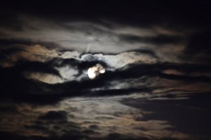 15307337839_d8ec5dd5f7_z