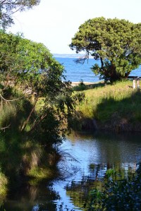 15561596102_7315309493_z